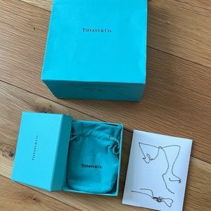 Tiffany & Co. Silver Necklace with Blue Packaging